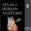 Atlas of Human Anatomy, 7e (Netter Basic Science)-Original PDF