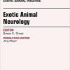 Exotic Animal Neurology, An Issue of Veterinary Clinics of North America: Exotic Animal Practice, 1e-Original PDF