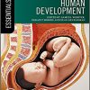 Essential Human Development (Essentials)-EPUB