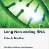 Long Non-coding RNA: The Dark Side of the Genome-EPUB