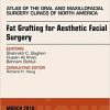 Fat Grafting for Aesthetic Facial Surgery, An Issue of Atlas of the Oral & Maxillofacial Surgery Clinics, 1e-Original PDF