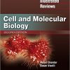 Lippincott Illustrated Reviews: Cell and Molecular Biology (Lippincott Illustrated Reviews Series) 2nd Edition-High Quality PDF