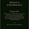 Mechanisms of DNA Recombination and Genome Rearrangements: Intersection Between Homologous Recombination, DNA Replication and DNA Repair, Volume 601 (Methods in Enzymology) -EPUB