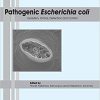 Pathogenic Escherichia coli: Evolution, Omics, Detection and Control-Original PDF