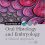 Essentials of Oral Histology and Embryology: A Clinical Approach, 5e-Original PDF