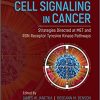 Extracellular Targeting of Cell Signaling in Cancer: Strategies Directed at MET and RON Receptor Tyrosine Kinase Pathways-Original PDF