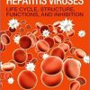 Studies on Hepatitis Viruses: Life Cycle, Structure, Functions, and Inhibition-Original PDF