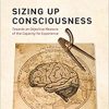 Sizing Up Consciousness: Towards an Objective Measure of the Capacity for Experience-Original PDF