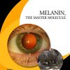 Melanin, the Master Molecule-Original PDF