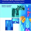 Body Imaging: Thorax and Abdomen: Anatomical Landmarks, Image Findings, Diagnosis-Original PDF