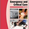 BSAVA Manual of Canine and Feline Emergency and Critical Care-Original PDF
