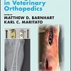 Locking Plates in Veterinary Orthopedics (AVS Advances in Veterinary Surgery)-Original PDF