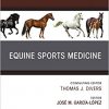 Equine Sports Medicine, An Issue of Veterinary Clinics of North America: Equine Practice (The Clinics: Veterinary Medicine)-Original PDF