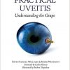 Practical Uveitis: Understanding the Grape-Original PDF