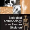 Biological Anthropology of the Human Skeleton-Original PDF