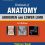 Textbook of Anatomy Abdomen and Lower Limb; Volume II, 3rd Edition-Original PDF