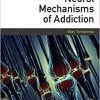 Neural Mechanisms of Addiction-Original PDF