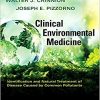 Clinical Environmental Medicine: Identification and Natural Treatment of Diseases Caused by Common Pollutants-EPUB