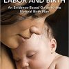 Natural Labor and Birth: An Evidence-Based Guide to the Natural Birth Plan-EPUB