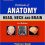 Textbook of Anatomy Head, Neck, and Brain; Volume III-Original PDF