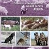 Genomic Management of Animal Genetic Diversity-Original PDF