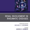 Renal Involvement in Rheumatic Diseases , An Issue of Rheumatic Disease Clinics of North America (The Clinics: Internal Medicine)-Original PDF