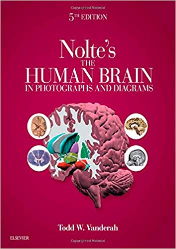 The Human Brain in Photographs and Diagrams 5th Edition-Original PDF