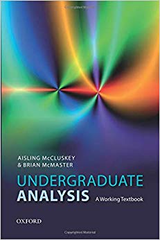 Undergraduate Analysis: A Working Textbook-Original PDF