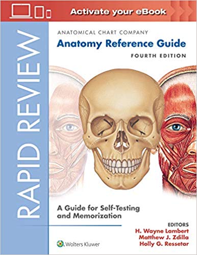 Rapid Review: Anatomy Reference Guide: A Guide for Self-Testing and Memorization 4th Edition-EPUB