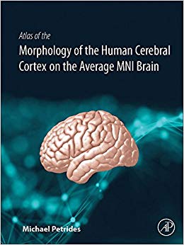 Atlas of the Morphology of the Human Cerebral Cortex on the Average MNI Brain-Original PDF