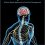 Neuropathic Pain: A Case-Based Approach to Practical Management-Original PDF