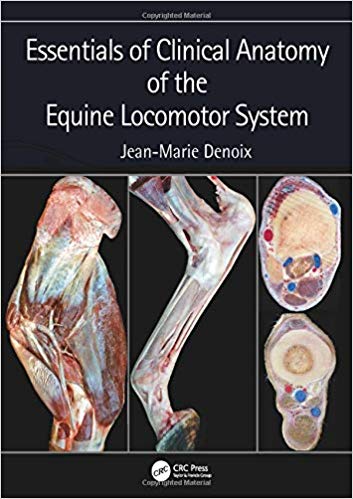 Essentials of Clinical Anatomy of the Equine Locomotor System-Original PDF