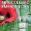 Goldfrank’s Toxicologic Emergencies, Eleventh Edition-Original PDF