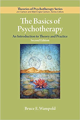 The Basics of Psychotherapy: An Introduction to Theory and Practice (Theories of Psychotherapy Series®)2nd Edition-EPUB