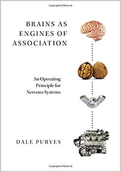 Brains as Engines of Association: An Operating Principle for Nervous Systems-Original PDF