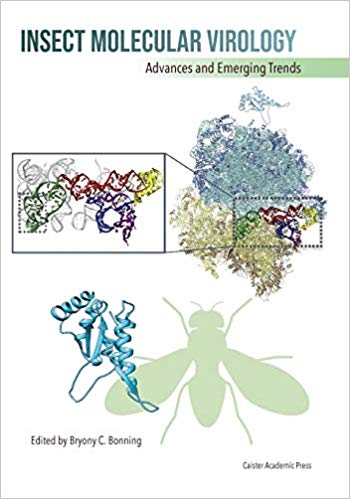 Insect Molecular Virology-Original PDF