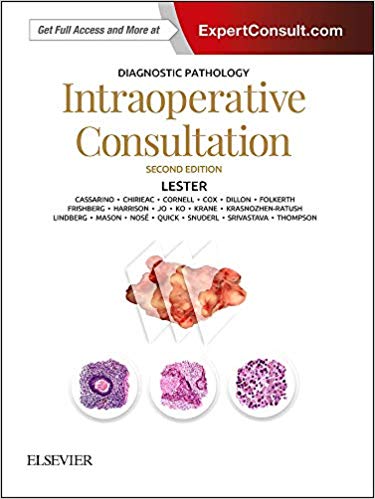 Diagnostic Pathology: Intraoperative Consultation-Original PDF