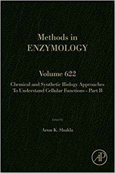 Chemical and Synthetic Biology Approaches to Understand Cellular Functions – Part B, Volume 622 (Methods in Enzymology)-Original PDF
