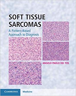 Soft Tissue Sarcomas Hardback : A Pattern-Based Approach to Diagnosis-Original PDF