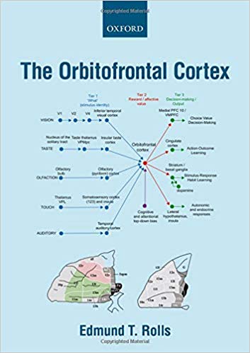 The Orbitofrontal Cortex-Original PDF