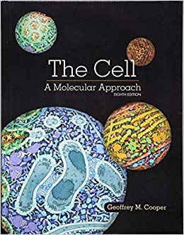 The Cell: A Molecular Approach 8th Edition-Original PDF