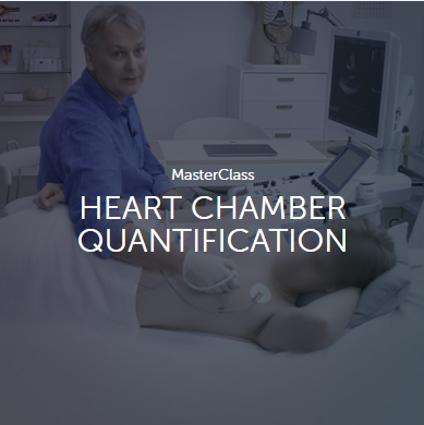 MasterClass HEART CHAMBER QUANTIFICATION 2019-Videos