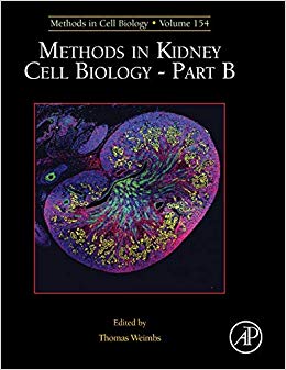 Methods in Kidney Cell Biology Part B, Volume 154 (Methods in Cell Biology)-Original PDF