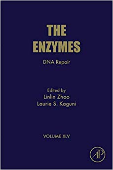 DNA Repair, Volume 45 (The Enzymes)-Original PDF