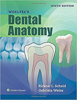 Woelfels Dental Anatomy 9th Edition-High Quality PDF