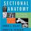 Workbook for Sectional Anatomy for Imaging Professionals 4th Edition-Original PDF