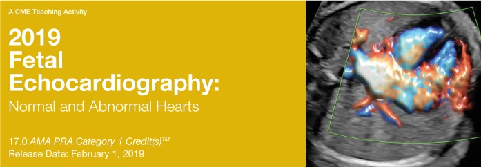 2019 Fetal Echocardiography: Normal and Abnormal Hearts-Videos+PDFs