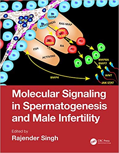 Molecular Signaling in Spermatogenesis and Male Infertility-Original PDF