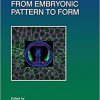 Gastrulation: From Embryonic Pattern to Form (Volume 136) (Current Topics in Developmental Biology (Volume 136))-Original PDF