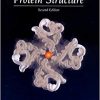 Introduction to Protein Structure 2nd Edition-Original PDF